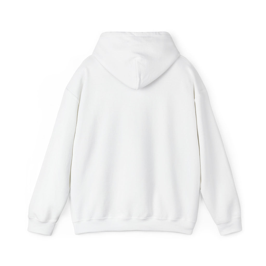 P.R.O.O.F. Team in the Flying Saucer Hooded Sweatshirt | Vintage Paranormal Hoodie