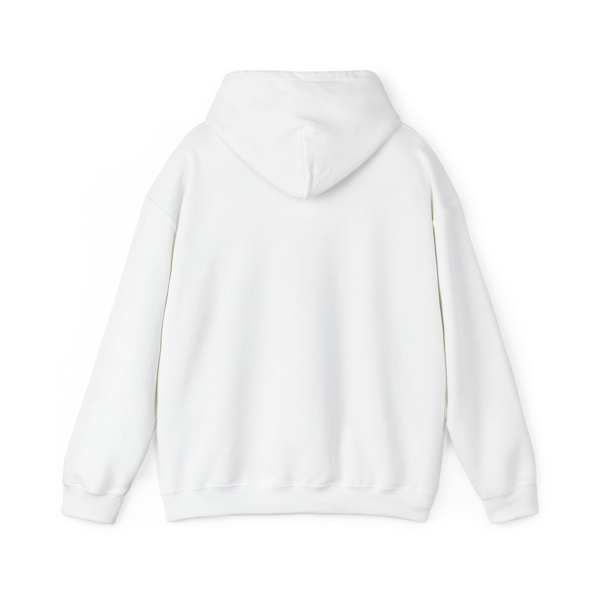 P.R.O.O.F. Team in the Flying Saucer Hooded Sweatshirt | Vintage Paranormal Hoodie