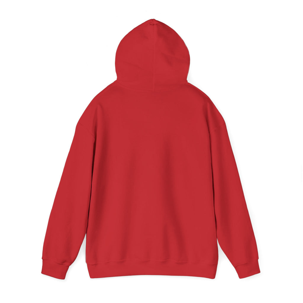 Ghost Bait Hoodie ︱Ghost Hunting Hooded Sweatshirt