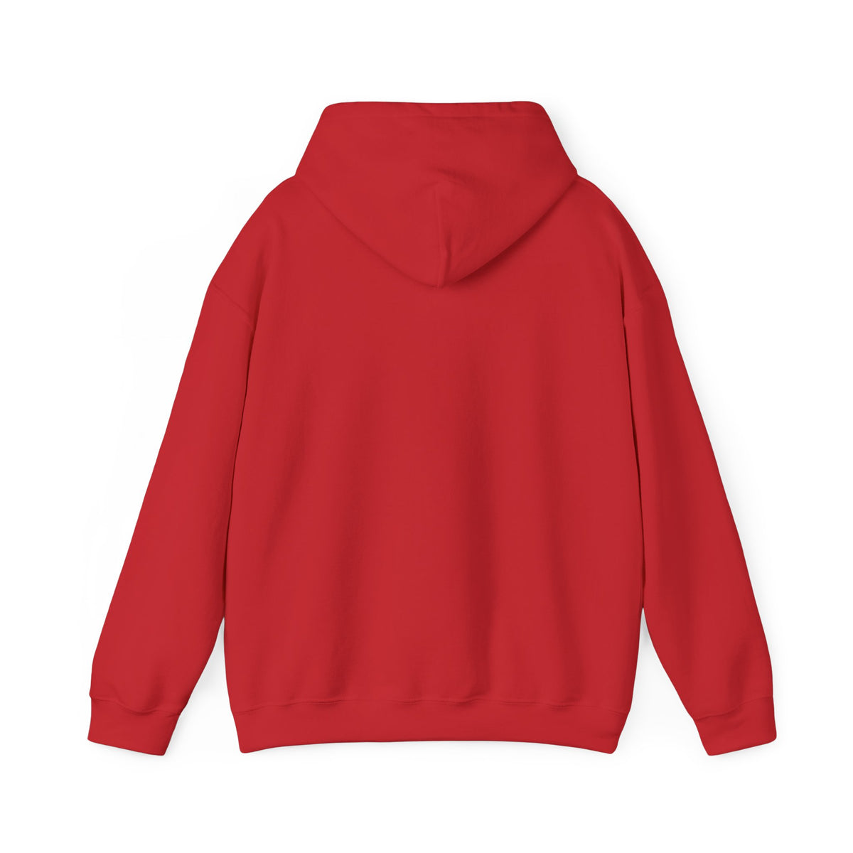 P.R.O.O.F. Team in the Flying Saucer Hooded Sweatshirt | Vintage Paranormal Hoodie