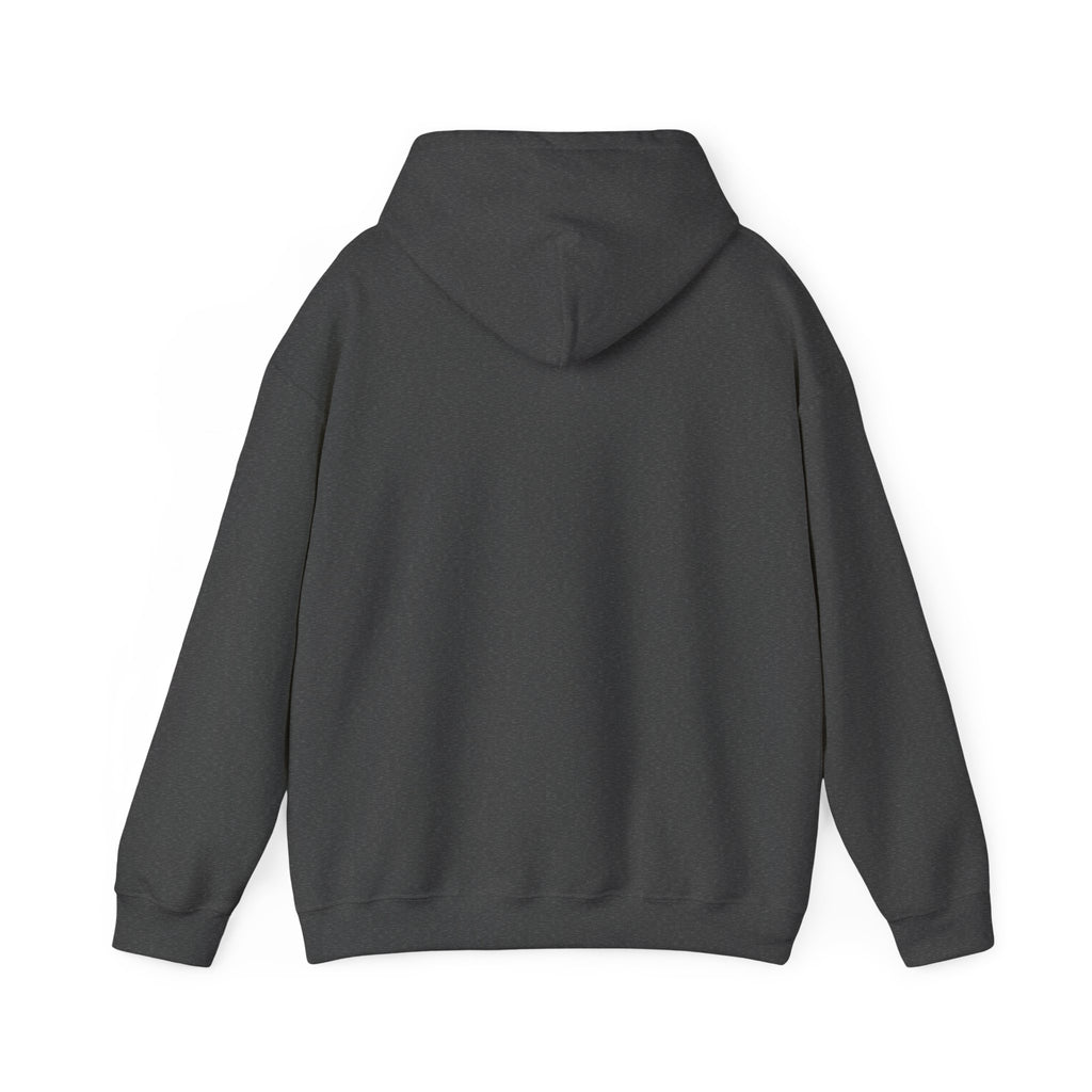 P.R.O.O.F. Team in the Flying Saucer Hooded Sweatshirt | Vintage Paranormal Hoodie