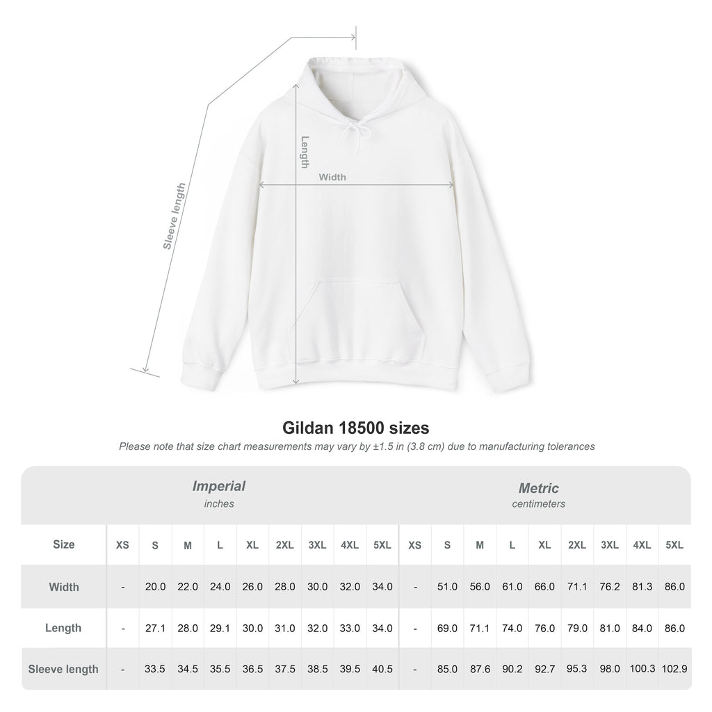 P.R.O.O.F. Team in the Flying Saucer Hooded Sweatshirt | Vintage Paranormal Hoodie