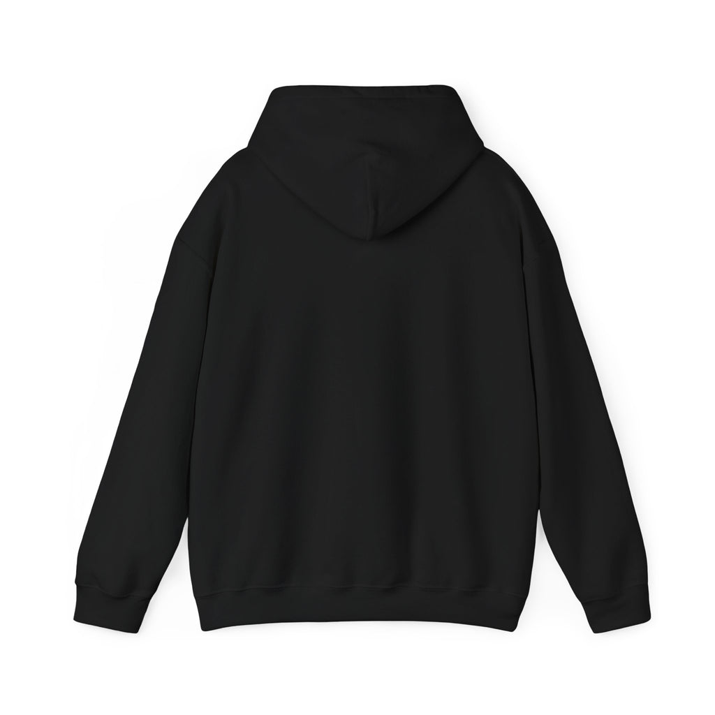 P.R.O.O.F. Team in the Flying Saucer Hooded Sweatshirt | Vintage Paranormal Hoodie