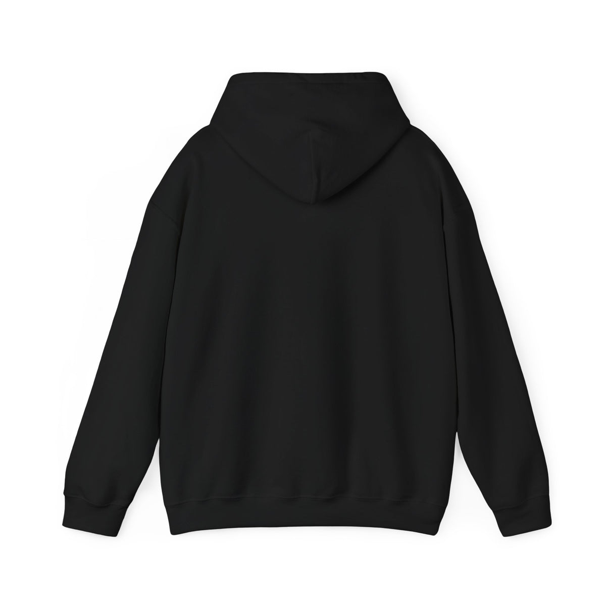 P.R.O.O.F. Team in the Flying Saucer Hooded Sweatshirt | Vintage Paranormal Hoodie
